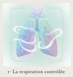 Image de poumons en train de respirer , illustrent la respiration contrôlée utilisée en Sophrologie